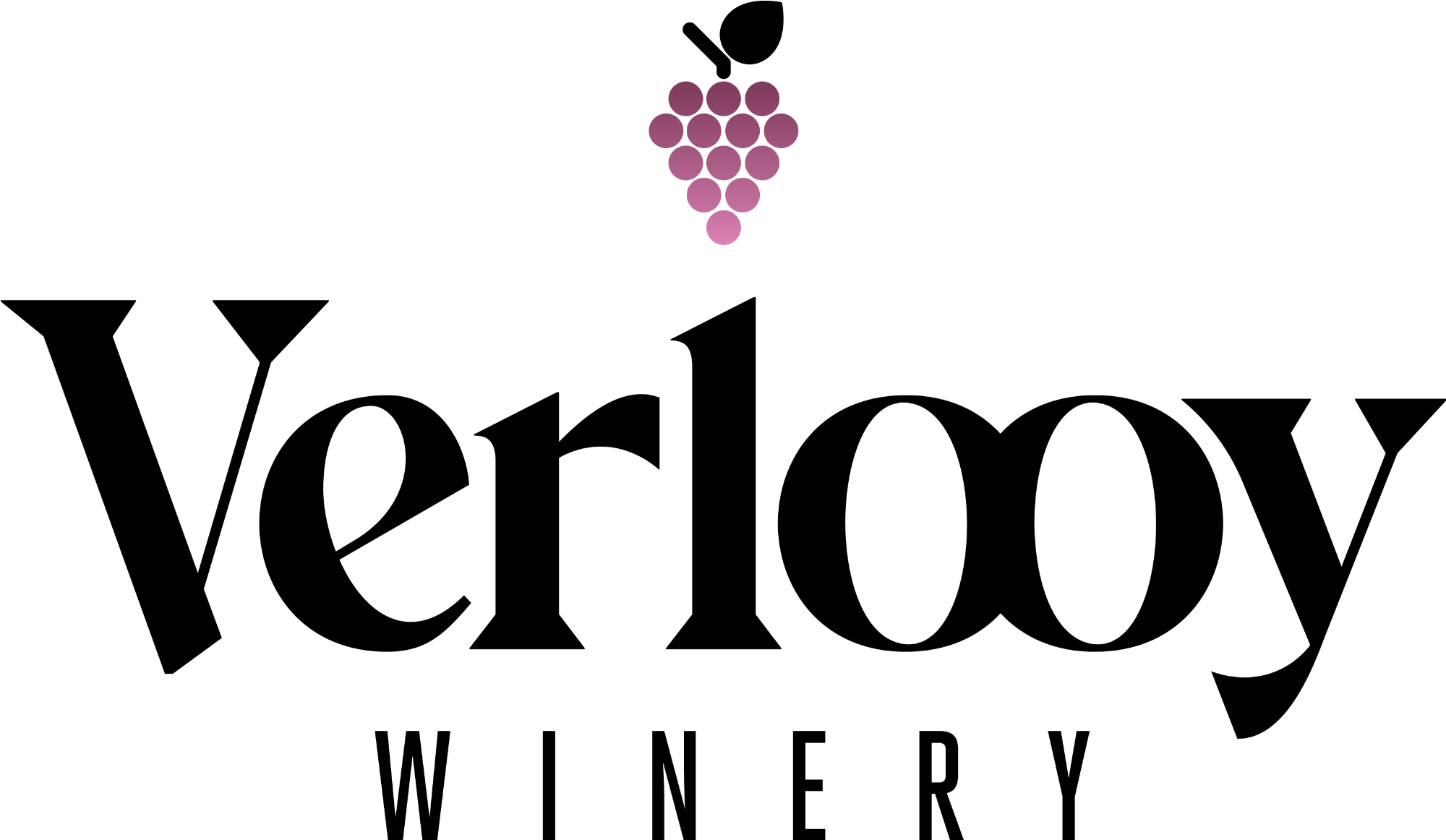 verlooy logo